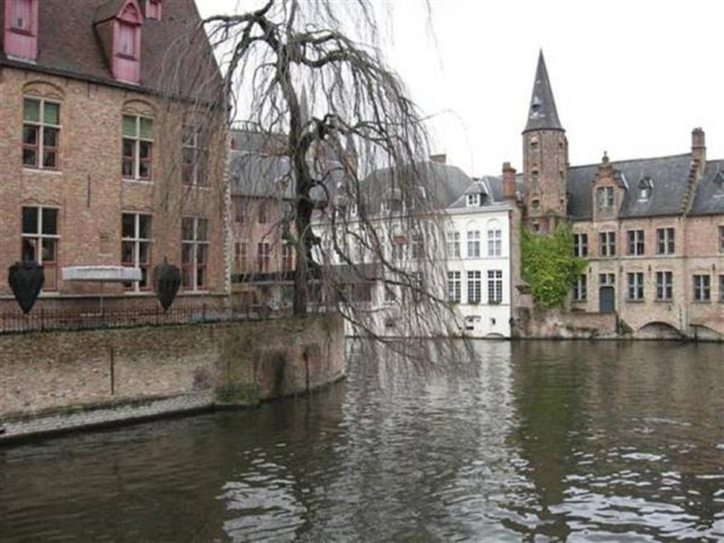 um rio numa cidade com edifícios e casas em Design Apartment Pandreitje Brugge em Bruges