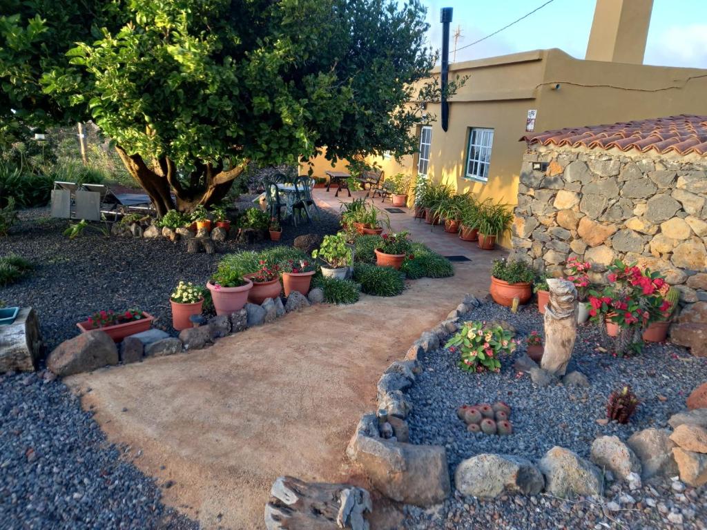 a garden with potted plants and a stone wall at El Limonero in Garafía