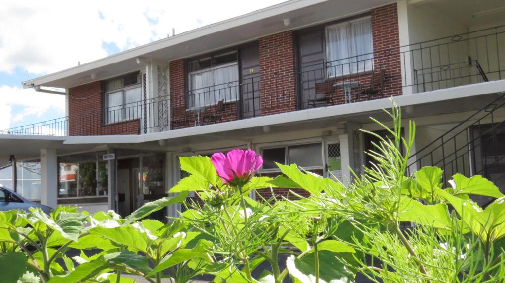 a pink flower in front of a building at Kuirau Park Motor Lodge in Rotorua