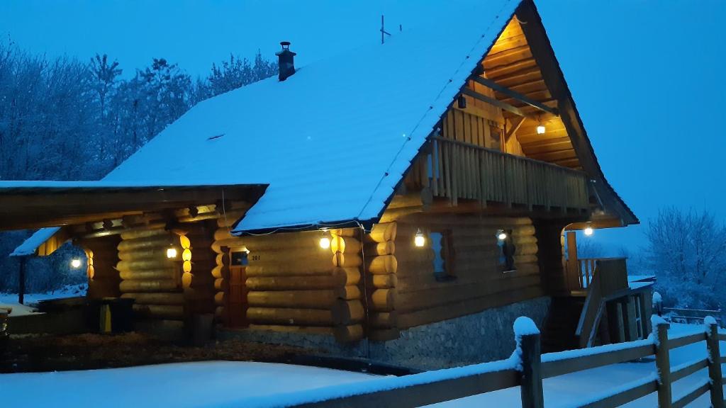 SrubNemo v zimě