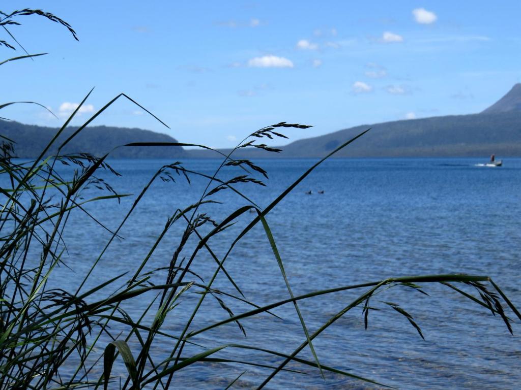 Kuirau Park Motor Lodge- Thermal Mineral pool - Resim 34