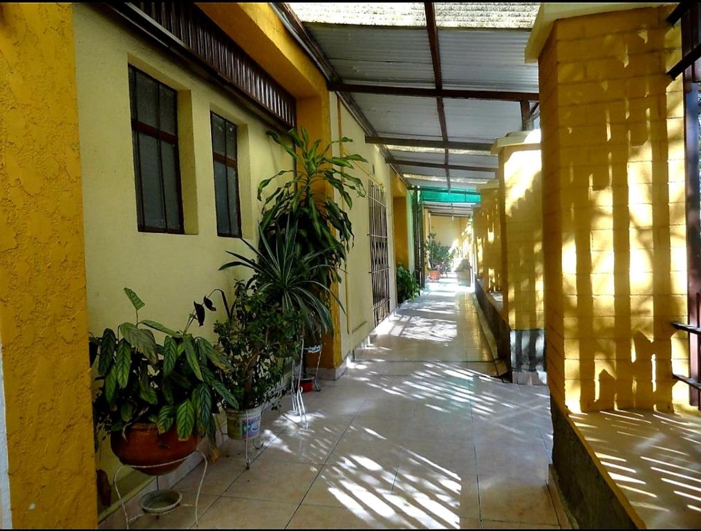 un pasillo vacío con plantas en un edificio en Casa de Huespedes Concordia en Cochabamba
