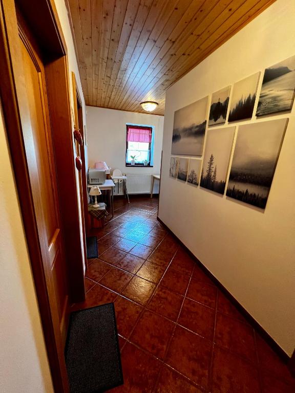 TV a/nebo společenská místnost v ubytování Penzion Zrzka