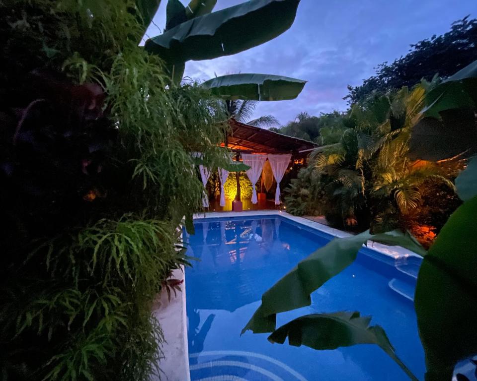 uma piscina num jardim com plantas em The Inner Light Yoga Lodge em Sámara