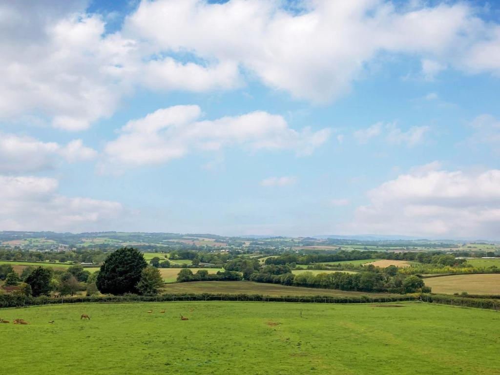 Deer View, Ottery Saint Mary Updated 2024 Prices