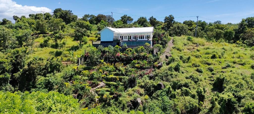 een huis bovenop een heuvel met bomen bij H616 Vintage Elegance with sea view in Kubutambahan