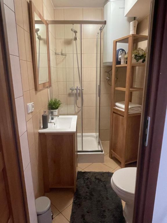 Kúpeľňa v ubytovaní Apartament Krupówki Centrum