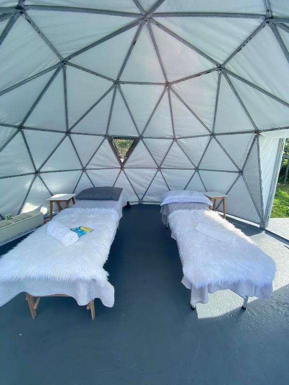 Postel nebo postele na pokoji v ubytování Bintana sa Paraiso Binunsaran