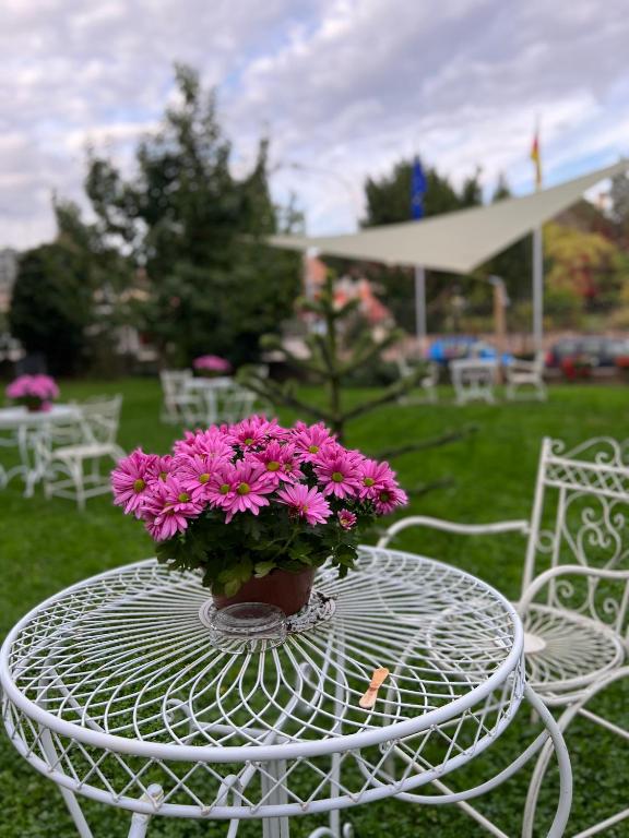 Zahrada ubytování Hôtel Le Manoir