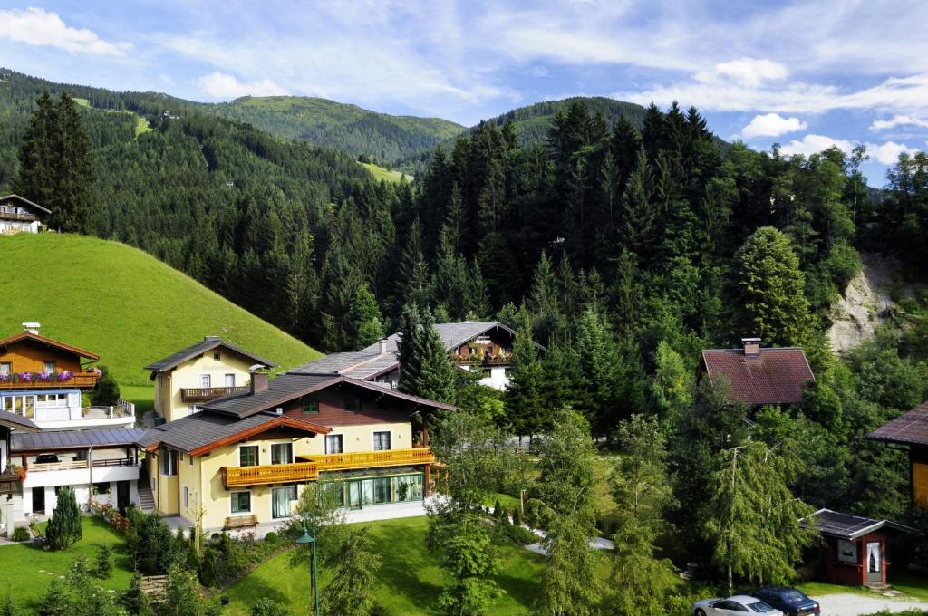 Příroda nedaleko apartmánu