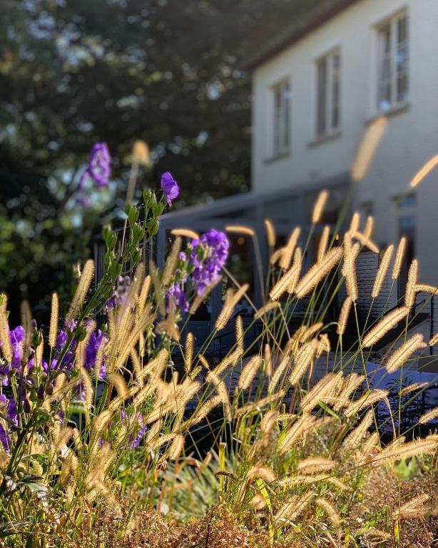 Zahrada ubytování Hotel Au Nom De Dieu