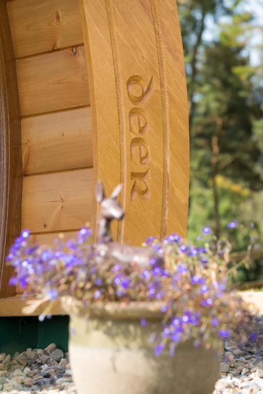 Zahrada ubytování Kilbane Glamping
