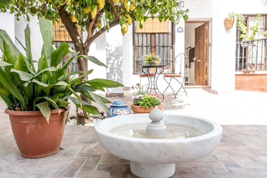 Carmen de Cortes - 17