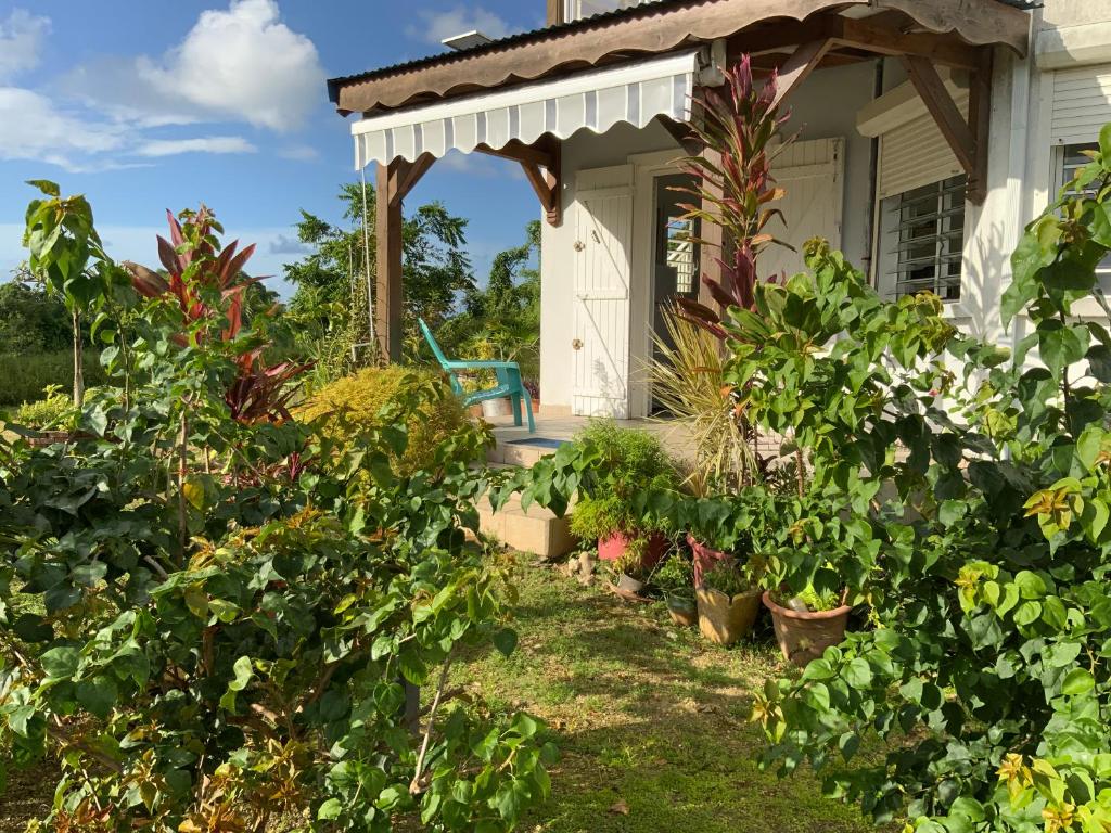 a garden in front of a house with a gazebo at Villa l'Exotik in Les Abymes