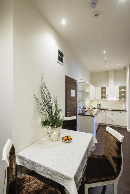 Kuchyň nebo kuchyňský kout v ubytování Hotel Ankavi
