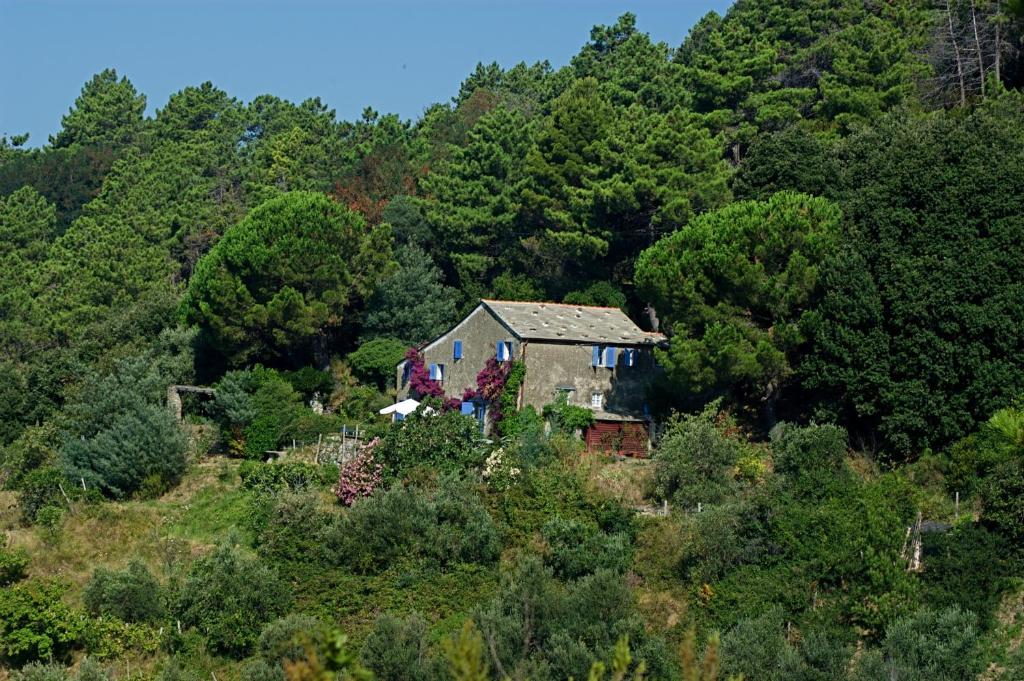una casa vieja en la cima de una colina con árboles en Maison de Charme Giulietta, en Bonassola