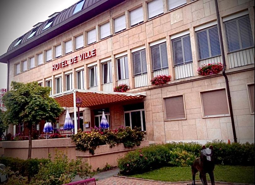 un cheval debout devant un bâtiment dans l'établissement Hôtel de ville du Sentier, à Le Sentier