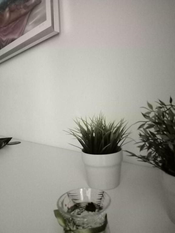 Kép Apartment 704 szállásáról Cosenzában a galériában