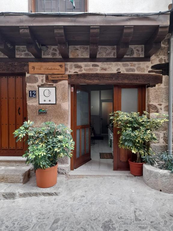 a building with two potted plants in front of it at APARTAMENTO ESTUDIO AS ANDURIÑAS in San Martín de Trevejo