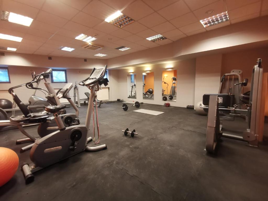 Fitness centrum a/nebo fitness zařízení v ubytování Aparthouse Zegrze