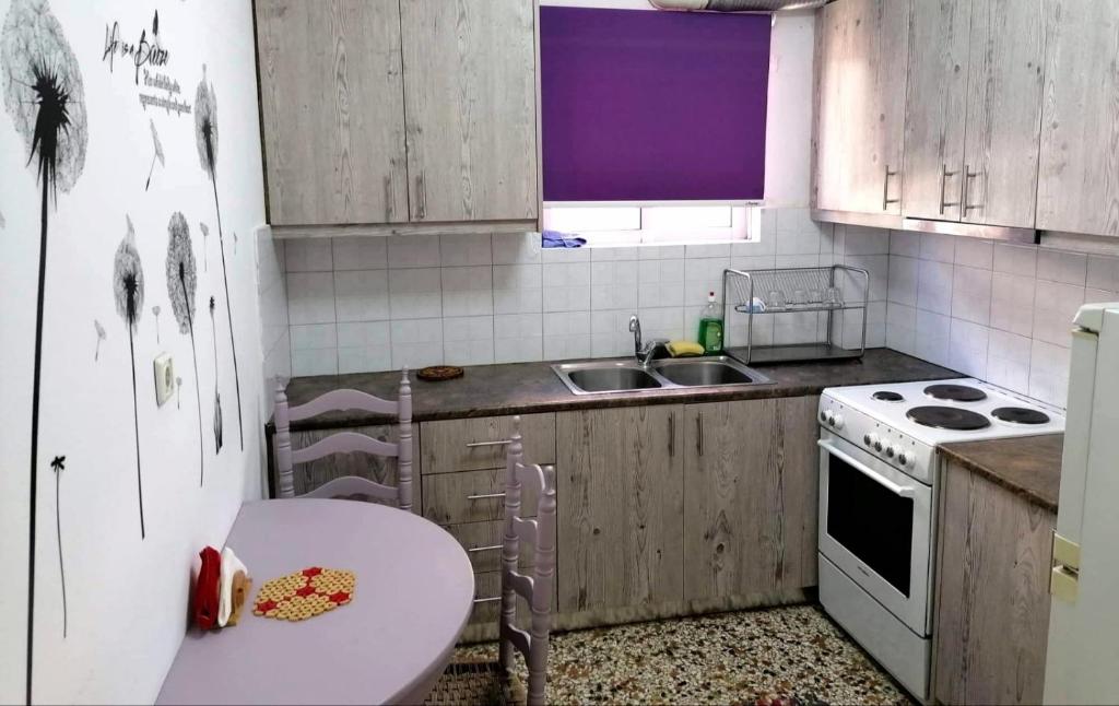 Virtuvė arba virtuvėlė apgyvendinimo įstaigoje Kalamaki Guest House