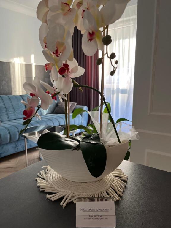 Apartamenty Kielce- Apartament Zacisze -Komfort przy Baseny Tropikalne, faktura, parking, centrum - 7