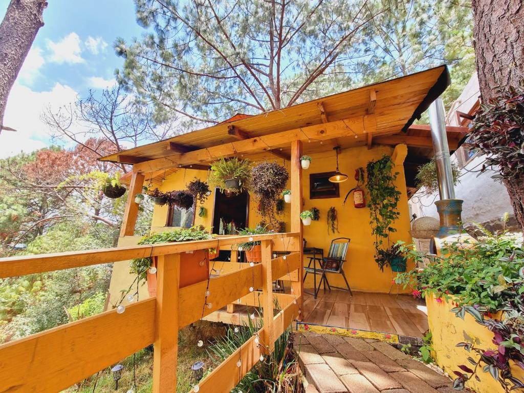 Zahrada ubytování Villas De Los Pinos 2