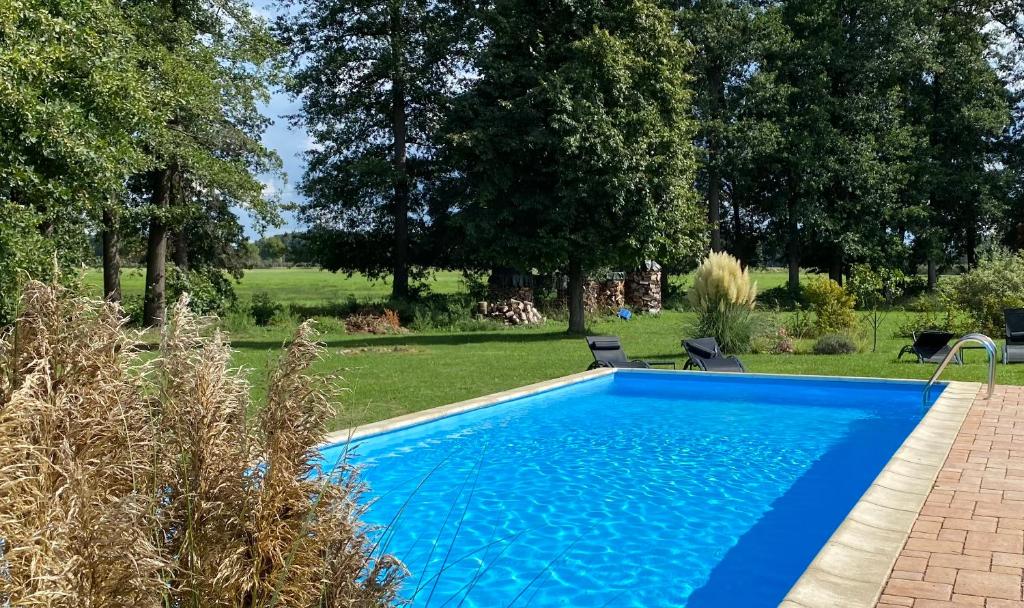 una piscina blu in un cortile alberato di Ferienapartments Spreewaldwiesen a Vetschau