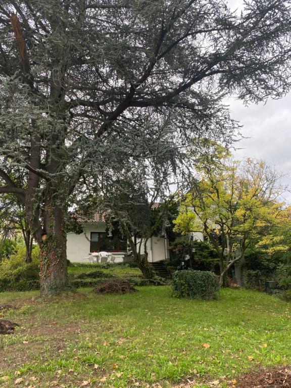 Belle Chambre Privée - Salle de bain - Jardin - Wifi - Cuisine partagée - - 2