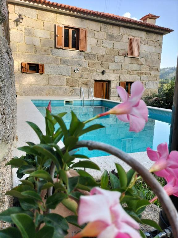a house with a swimming pool and some pink flowers at Casa Novelhos in Penafiel