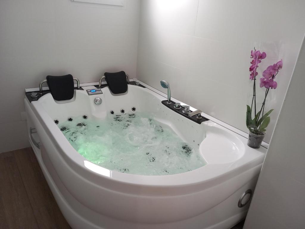 una vasca da bagno riempita di acqua con fiori di Suite con Jacuzzi de la Haya, junto al Teatro Romano a Mérida