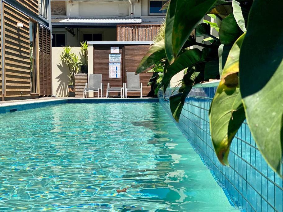 a swimming pool with blue water and green plants at Poolside Apartment In Central Byron in Byron Bay