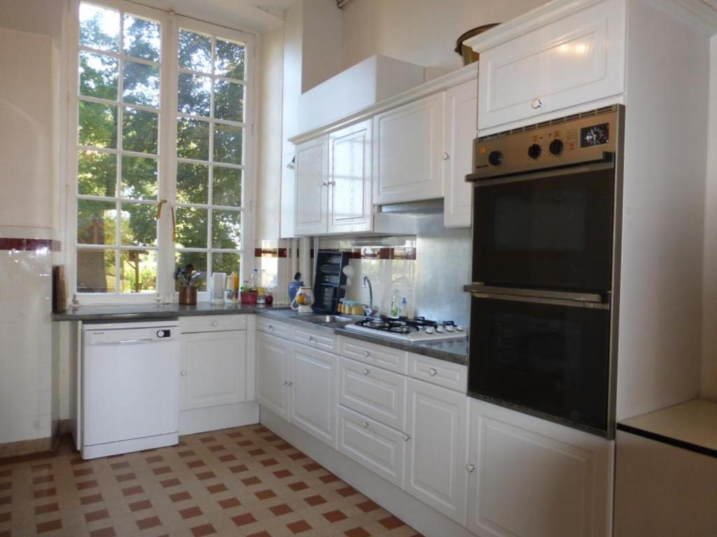 kuchnia z białymi szafkami i czarnym sprzętem AGD w obiekcie Gîte de charme avec piscine chauffée et sauna, au cœur d'une propriété historique en Val de Loire - FR-1-381-128 w mieście Monnaie