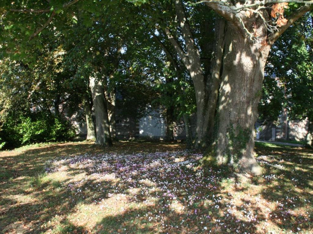 Ogród w obiekcie Gîte de charme avec piscine chauffée et sauna, au cœur d'une propriété historique en Val de Loire - FR-1-381-128