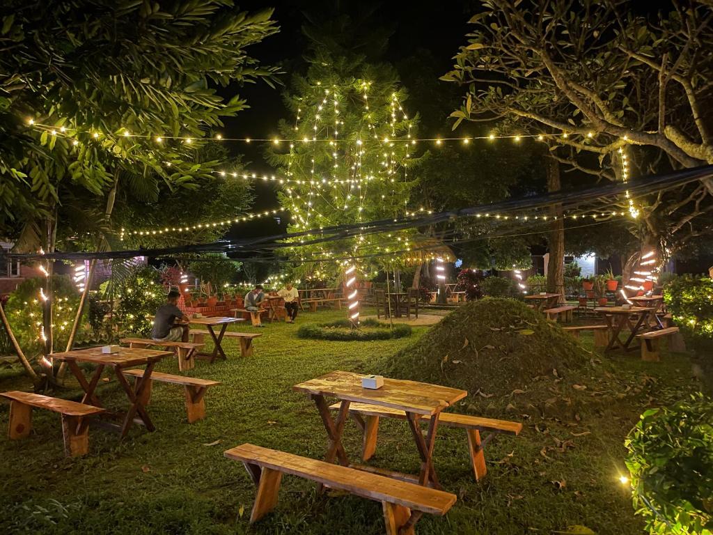 a group of picnic tables in a park with lights at Hotel Tharu Garden, Sauraha in Sauraha