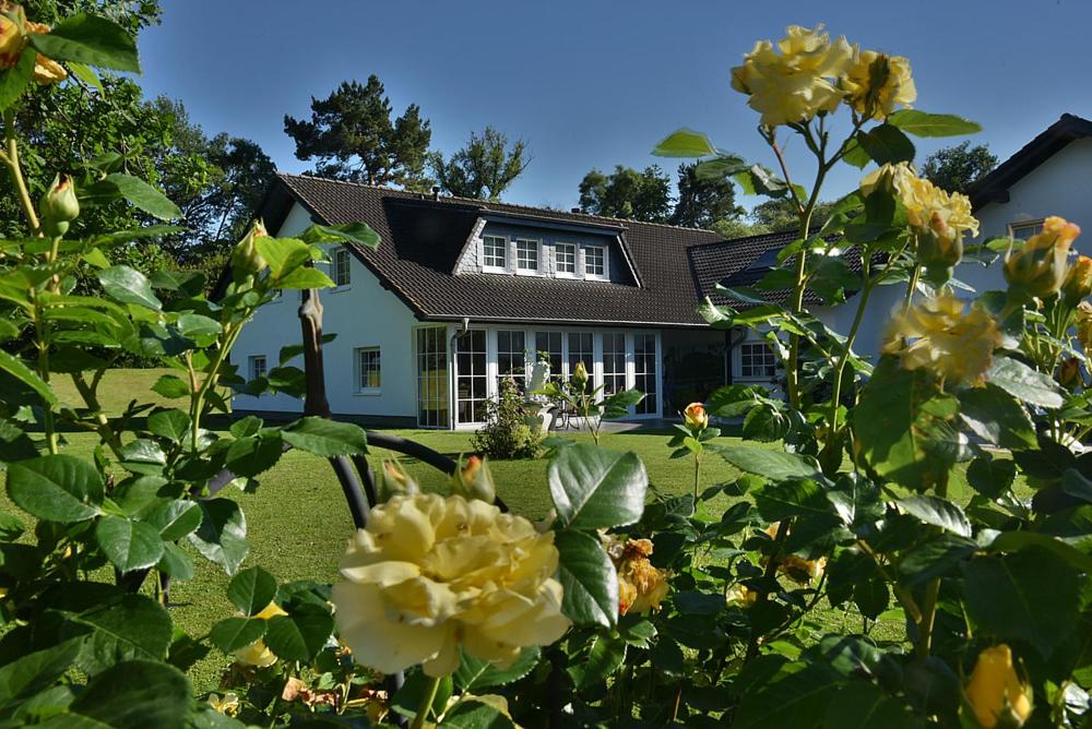 a house with yellow roses in front of it at Pension Ederstrand in Frankenberg