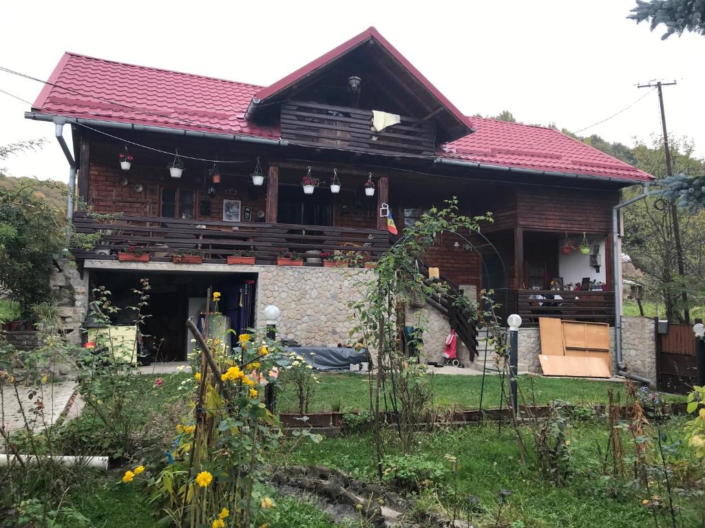 Κήπος έξω από το Cabana Trei Brazi Dambovita