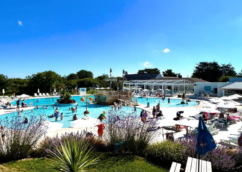 a group of people in a swimming pool at Monkey Tree Holiday Park in Newquay