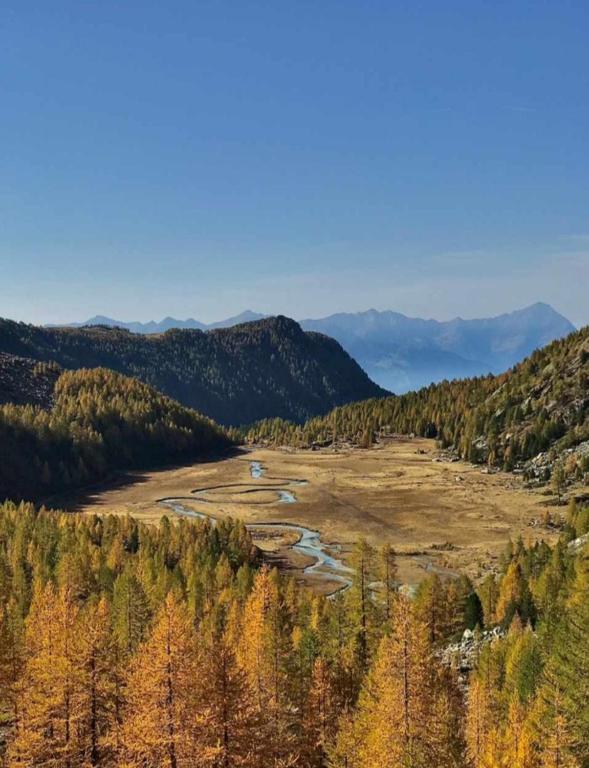 Zdjęcie z galerii obiektu B & B Il Sottobosco w mieście Val Masino
