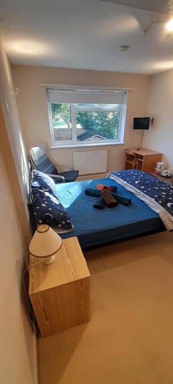 Rob's B&B