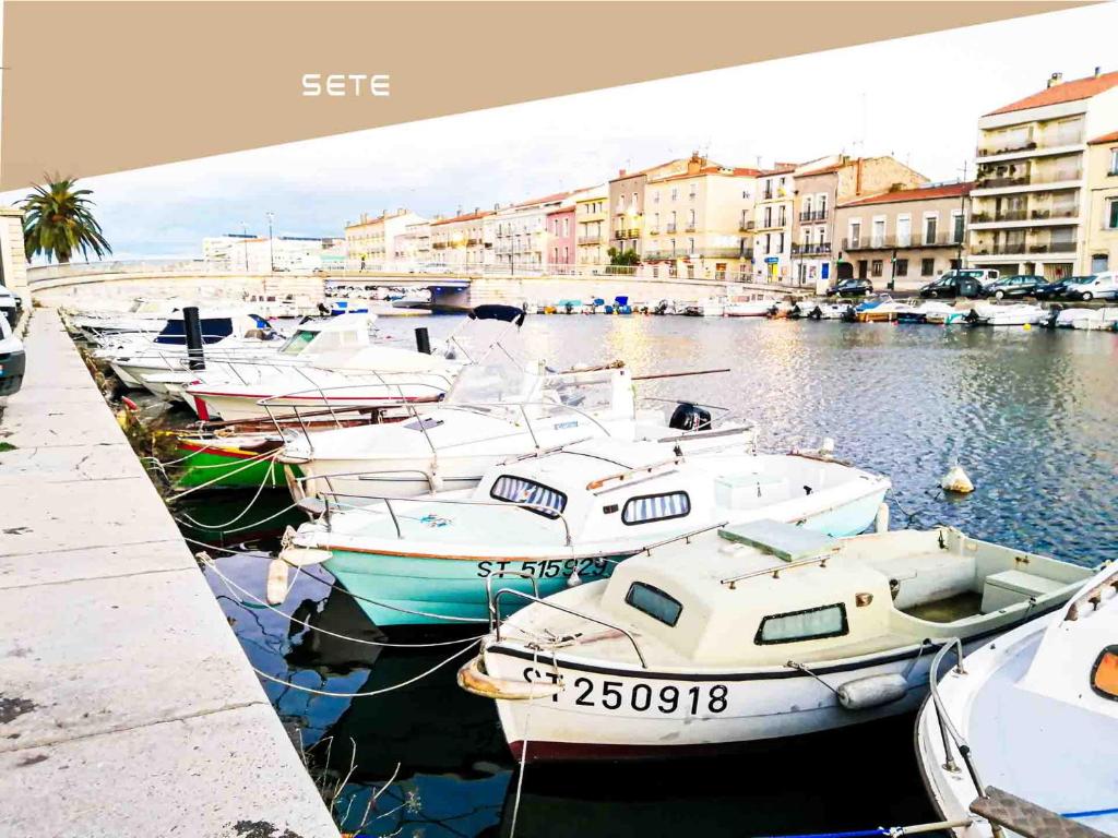 Fotografia z galérie ubytovania Le canadien - Terrasse et parking v destinácii Montpellier