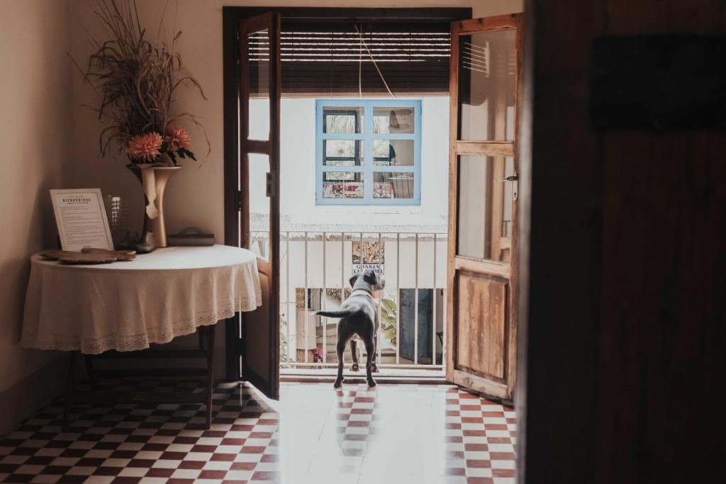 a dog standing on the door of a room at Granja San Miguel in Salem