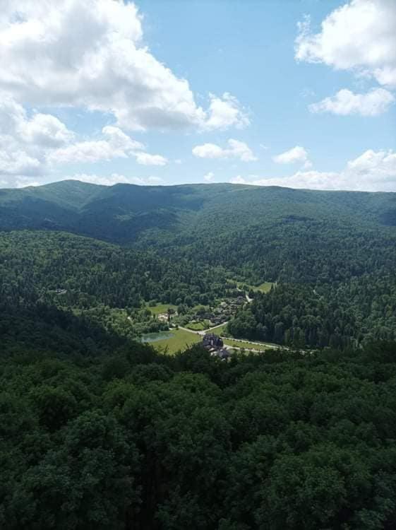 Príroda v okolí vily