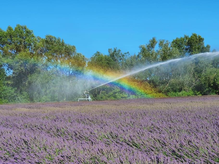 a sprinkler in a lavender field with a rainbow at L&#39;Ardeche en Provence avec jardin ombragé in Pont-Saint-Esprit