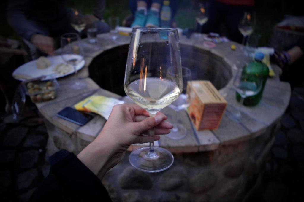 a person holding a wine glass in front of a table at Casa Vatra Sinteului - Cu sala de evenimente de capacitate mare - Se inchiriaza integral in Socet