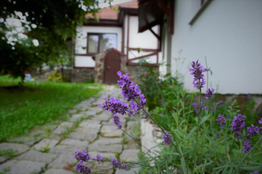 a garden with purple flowers in front of a house at Casa Vatra Sinteului - Cu sala de evenimente de capacitate mare - Se inchiriaza integral in Socet