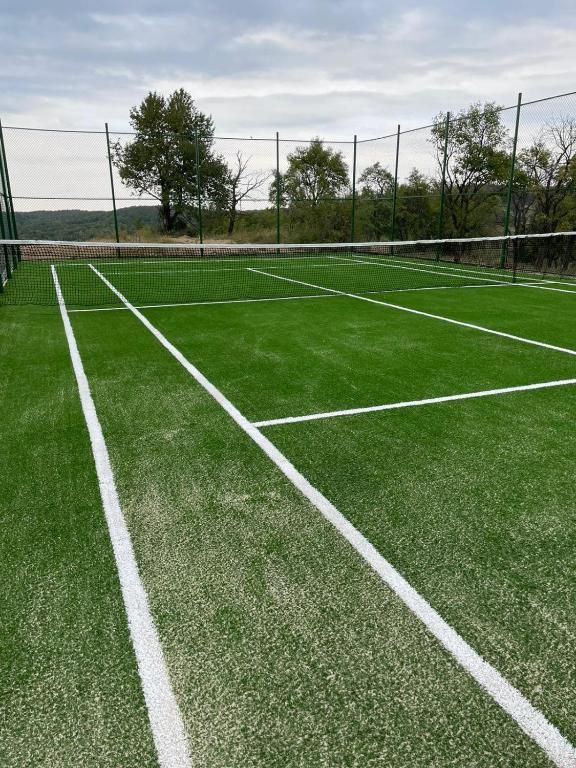 a green tennis court with a net on it at Casa Vatra Sinteului - Cu sala de evenimente de capacitate mare - Se inchiriaza integral in Socet