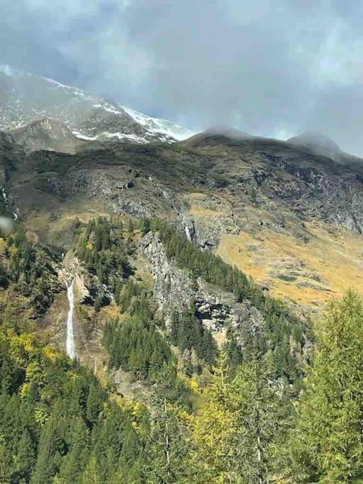 Príroda v okolí apartmánu