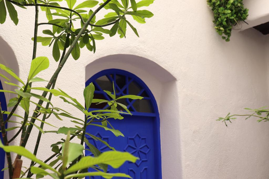 Zahrada ubytování Hotel Dar El Qdima