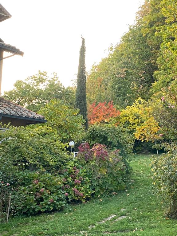 Vonkajšia záhrada v ubytovaní Hotel Parco Erosa